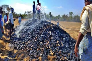 Burning of corn by accidental fire in hanagal