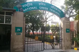 NGT adjourns hearing on all cases till 31 March due to Corona