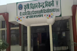 bhiwani agriculture department