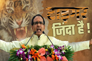 shivraj singh chauhan