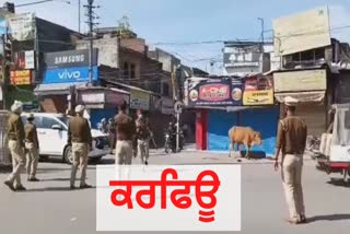 curfew in punjab