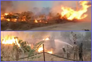 due to fire 100 mango trees are burned at kadiri in ananthapuram
