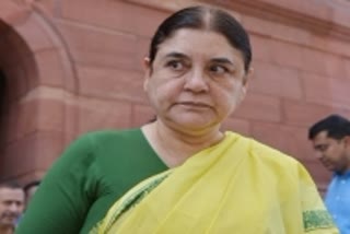 Maneka Gandhi  lashed out at the pet shop owner