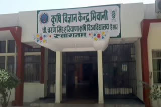 agriculture department haryana