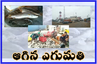 corona affect on sea foods exports from nizampatnam harbour