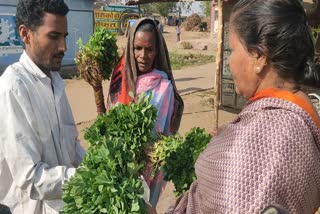 door to door vegetable sale dindori