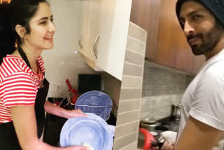 Katrina Kaif, Kartik Aaryan wash dishes as they self-isolate