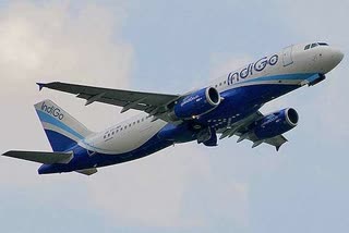 No salary deduction during flight ban: IndiGo assures staff