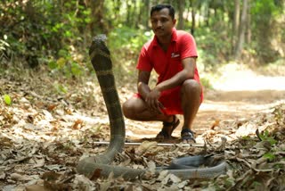 Snake Ashok