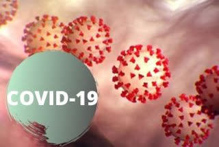 912 under surveillance for coronavirus in Himachal