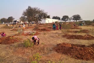 Ugadi festival is celebrated Traditionally