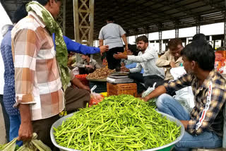 હાપા માર્કેટિંગ યાર્ડ ખાતે શાકભાજી વેચાણ શરૂ