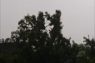 rains with strong winds in Ujjain