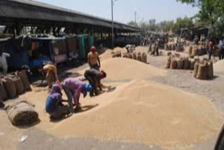 کورونا وائرس کی وجہ سے کسان پریشان