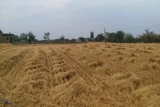 Rain with strong winds