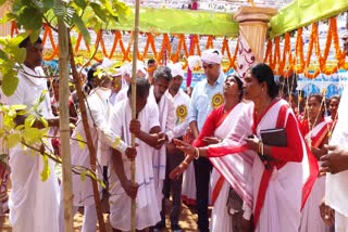 sarhul festival in jharkhand