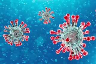 corona virus positive cases rise at 26
