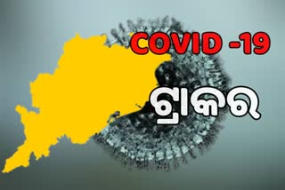 corona tracker odisha