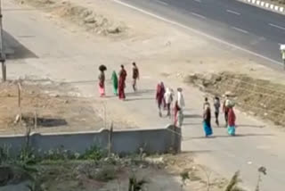 Laborers returning to Madhya Pradesh on foot from Gujarat