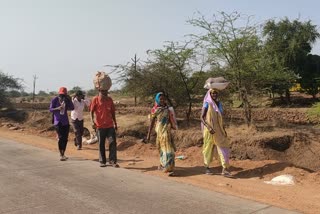 farm workers nashik