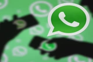 WhatsApp Might Allow Users to Search Forwarded Messages on Web