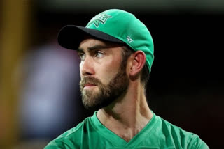 CRICKETER MAXWELL