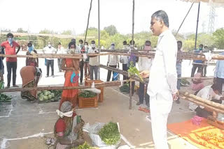 harish rao