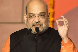 Union Home Minister Amit Shah (file image)