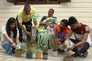 पौधों की पत्तियों से शुद्ध पानी लेने का तरीका सीखते बच्चे.