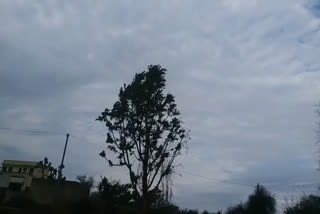 झुंझुनू में 15 दिनों से मौसम प्रभावित, Weather affected in Jhunjhunu for 15 days