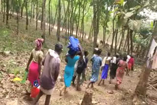 adivasi people relocated to forest in fear of covid  malappuram news  covid latest news  corona latest news  കൊറോണ വാര്‍ത്തകള്‍  മലപ്പുറം വാര്‍ത്തകള്‍  കോവിഡ് കേരളം വാര്‍ത്തകള്‍