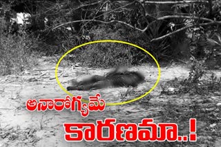 couple-suicide-in-rajamahendravaram