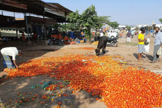 People who do not have a social gap in the market, valuable vegetable in road