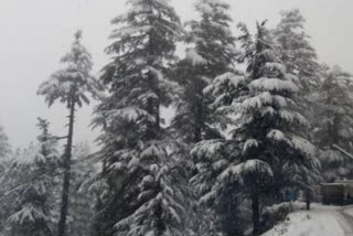 کشمیر کے بالائی علاقوں میں برفباری
