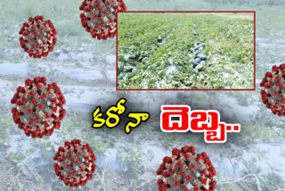 పుచ్చకాయ రైతులకు కరోనా దెబ్బ.. లాక్‌డౌన్​తో నేలపాలు