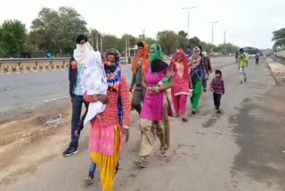 Workers working in factories