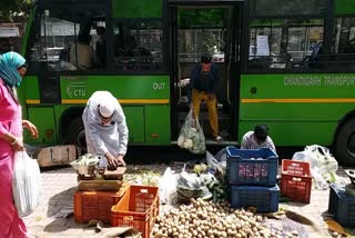 vegetable supply in ctu buses chandigarh