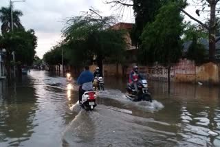 water logging in gohana