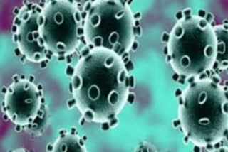 Corona Virus Victims 196 New Cases Over The Last 24 Hours in russia