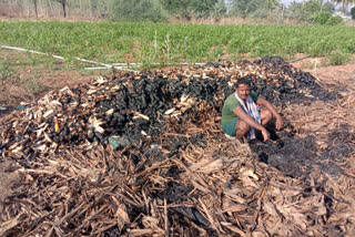 6 loads of grass 50 quintals of corn burnt in kadaburu