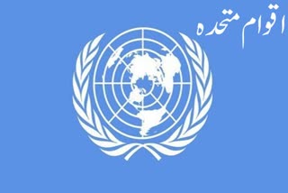 UN says 86 staffers around world reported cases