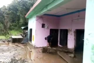 Heavy loss due to rain in Sherpur Panchayat