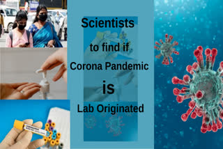 Scientists develop tool to find if corona pandemic is lab-originated