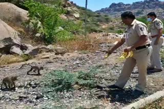 Koppal police distribute banana for monkeys