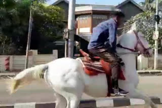 A young man with a horse riding on the bike