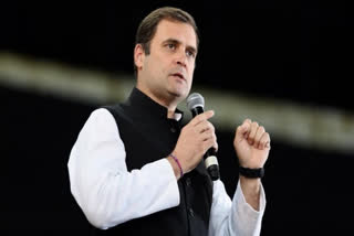 Rahul urges people to provide food