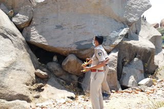 Koppal police  monkeys starving  Sri Male Malleshwara temple  good samaritans  மலை குரங்குகளுக்கு உணவளித்த காவலர்கள்  கரோனா பீதி, 21 நாள்கள் பூட்டல், வனவிலங்குகளுக்கு உணவளித்த காவலர்கள், காவலர்களின் மனித நேயம்  Koppal police turn good samaritans, feed monkeys and cattle