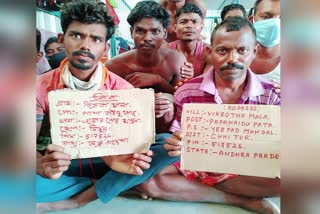 600 workers from South Dinajpur trapped in Andhra Pradesh