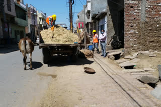 nagarpalika chairman feeding stray animals