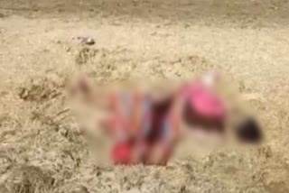 dead body of woman, जयपुर हत्या न्यूज